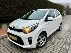 Picanto White